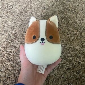 Reginald the corgi 5” Squishmallow